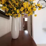 Apartment Borovi With Terrace And Parking